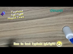 Kit de test rapide de la typhoïde de 15 minutes Test d'antigène de Salmonella Typhi d'échantillon de plasma de sérum fécal